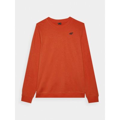 4. Herren Sweatshirt ohne Reißverschluss und Kapuze 4F 4FWMM00TSWSM1767-62S