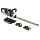 NAC Akku-Heckenschere 2x20V 2Ah 50cm