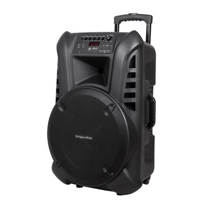 Aktivlautsprecher (mit 2 drahtlosen Mikrofonen, UHF, SD, Bluetooth, FM, USB) 60 Watt