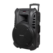 Aktivlautsprecher (mit 2 drahtlosen Mikrofonen, UHF, SD, Bluetooth, FM, USB) 60 Watt
