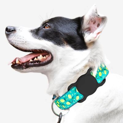 2. Apple AirTag Silikonhülle für Hunde- oder Katzenhalsband - Schwarz