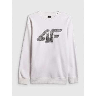 Herren-Sweatshirt ohne Reißverschluss und Kapuze 4F 4FRAW25TSWSM2493-10S