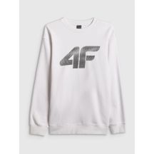 Herren-Sweatshirt ohne Reißverschluss und Kapuze 4F 4FRAW25TSWSM2493-10S