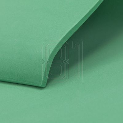 101. Spokey Lightmat SPK-941541