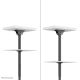 18. Deckenhalterung für 37-70 Zoll Fernseher, Modell CL35-440BL16L Neomounts