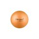Rehabilitationsball mit ABS-System und Pumpe, 25 cm