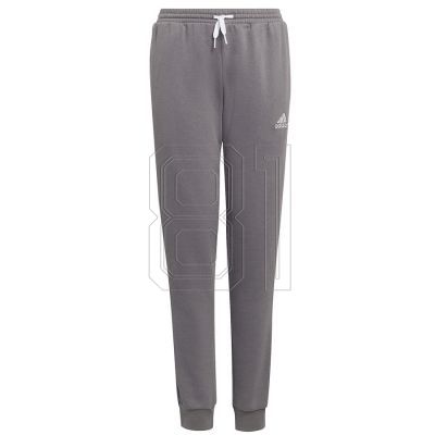 Pants adidas Entrada 22 Sweat Panty Y Jr H57519