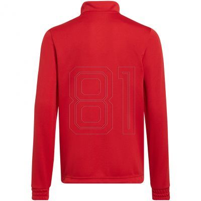 2. Adidas Entrada 22 Tr Top Jr Sweatshirt H57550