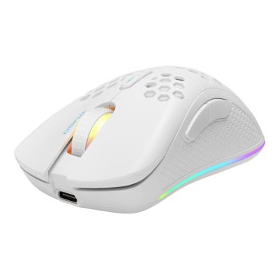 Deltaco Gaming GAM-120-W Maus, Rechtshänder, kabellos (RF) + Bluetooth + USB Typ-A, optisch, 4800 DPI