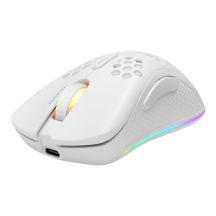 Deltaco Gaming GAM-120-W Maus, Rechtshänder, kabellos (RF) + Bluetooth + USB Typ-A, optisch, 4800 DPI