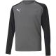 3. Puma teamPacer GK LS Trikot Jr 704939 43