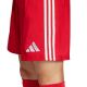6. adidas Tastigo 25 M JN7157 Shorts