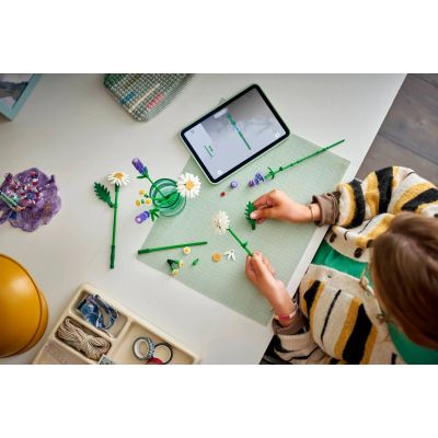 11. LEGO Botanische Kollektion 11508 - Gänseblümchen