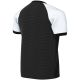 2. Nike Dri-FIT Trophy VI Kinder-T-Shirt Schwarz HV8158 010