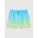 7. Herren-Boardshorts 4F 4FRSS26UBDSM224-31S