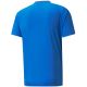 4. Puma teamVision Trikot M 704921 02