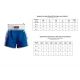 4. Kick Light Trainingsshorts MASTERS (WAKO-GENEHMIGT)