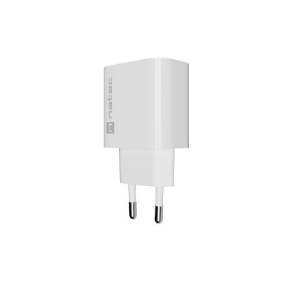 13. NATEC RIBERA WANDLADEGERÄT 1x USB-A + 1x USB-