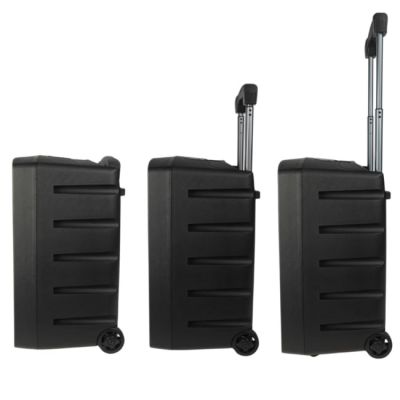 6. V-TONE BQ12 GO MP3 – Aktivlautsprecher, wiederaufladbar, schwarz, Bluetooth, TWS, USB, SD, DSP, AUX, Infrarot-Fernbedienung, 2 drahtlose Mikrofone, ausziehbarer Griff, Transportrollen