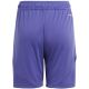 7. adidas Tiro 24 Jr IT2419 Shorts