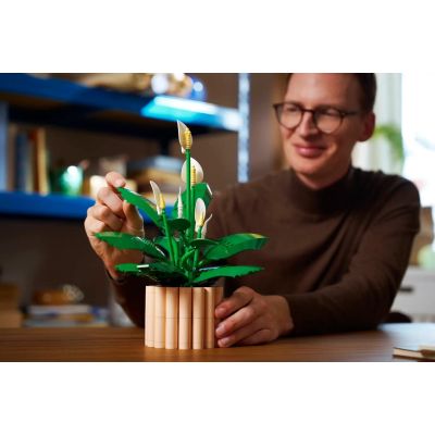 13. LEGO Botanical 11504 Spathiphyllum in einem Topf