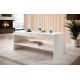 2. PAFOS Couchtisch 120x60xH.50 weiß matt
