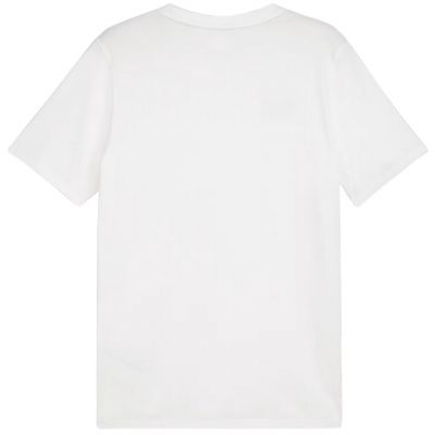 2. Puma Team Goal Casuals Tee M 658615 04