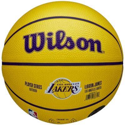 3. Wilson NBA Player Icon LeBron James Miniball WZ4027701XB Basketball