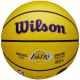 3. Wilson NBA Player Icon LeBron James Miniball WZ4027701XB Basketball
