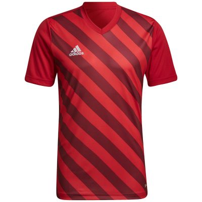 12. adidas Entrada 22 Graphic Jersey M HB0572