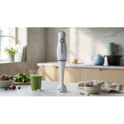 11. Esperanza Frappe Stabmixer EKM001E (250 W; grau)
