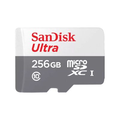 2. SANDISK ULTRA microSDXC 256 GB 100 MB/s A1 CL10 UHS-I
