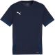 3. Puma teamGoal Spieltagstrikot M 705747 06