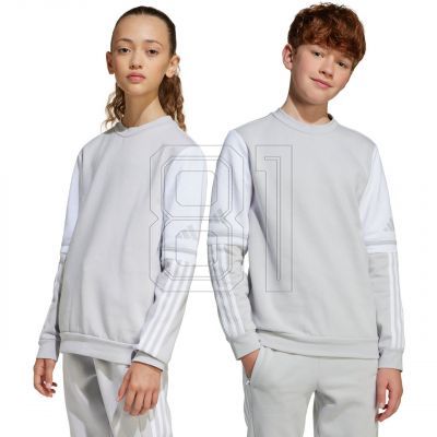 2. Adidas Squadra 25 Sweat Crew Jr JD4824 sweatshirt