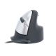 17. Ergonomische Maus für Rechtshänder R-Go Pele HE USB groß schwarz/silber (Einzelhandel)