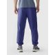 7. Jogginghose 4F M 4FWAW24TTROM1277-31S