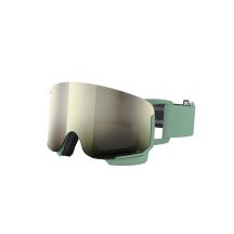 POC Nexal Skibrille Grün