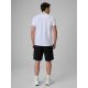 2. Herren-Freizeitshorts 4F 4FRSS26TSHOM0929-20S