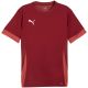 Puma teamGoal Matchday Trikot Herren burgund 705747 09