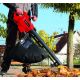 8. EINHELL GC-EL 3024 E 3000W Laubsauger