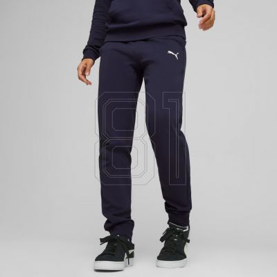 3. Puma Team Goal Casuals Pants W 658604 06