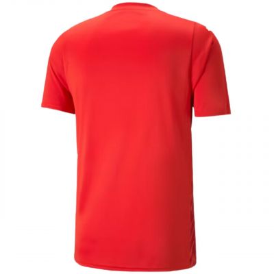 Herren-T-Shirt Puma teamULTIMATE rot 705371 01