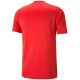 Herren-T-Shirt Puma teamULTIMATE rot 705371 01