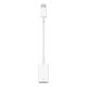Apple USB-C auf USB-A Adapter