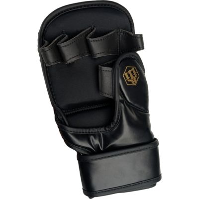 4. GFS-BRUTE MMA-Handschuhe