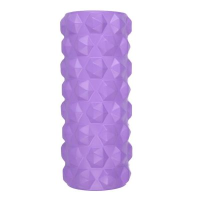 19. Fitnessrolle HMS PURPLE FS107 