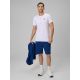 Herren-Jogginghose 4F 4FRSS26TSHOM0970-30S
