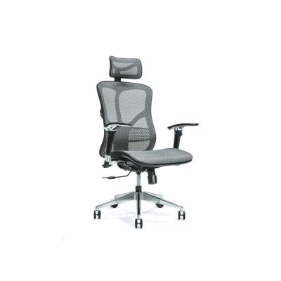 3. Ergonomischer Bürostuhl ERGO 500 grau