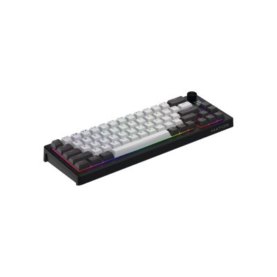 4. HATOR Skyfall Pro Wireless 65 Gaming-Tastatur USB + RF Wireless + Bluetooth QWERTZ US Englisch Schwarz, Grau