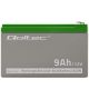 4. Qoltec 53031 Gel-Batterie